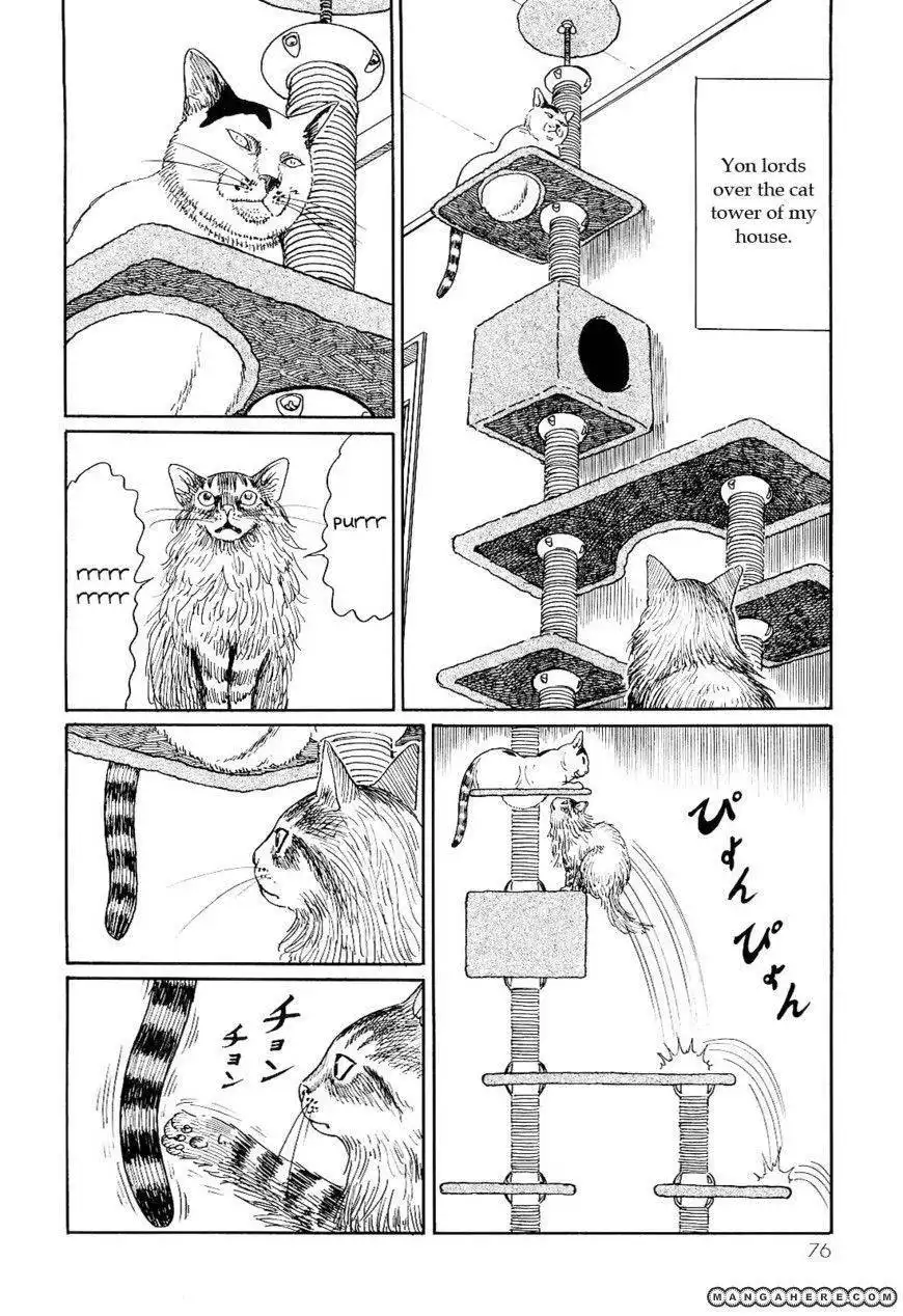 Ito Junji's Cat Diary Chapter 7 8